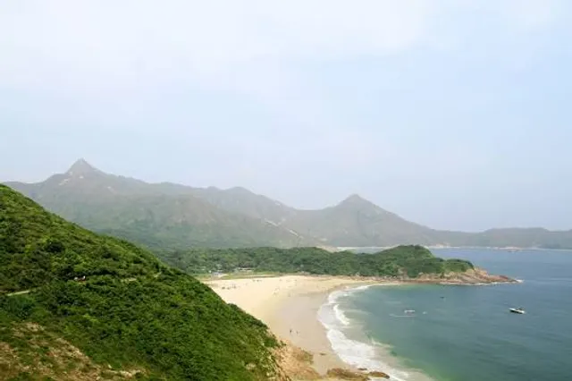 photo-1
