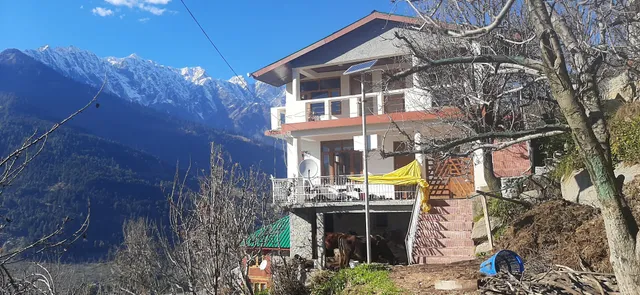 Himalayan Woodpecker - (A Truly Himalayan Stay)