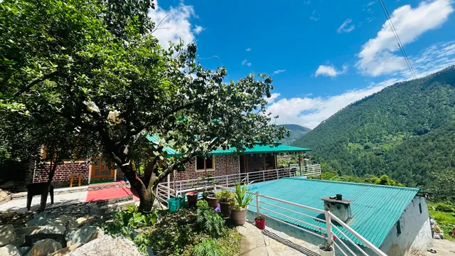 Mehra paradise and cafe