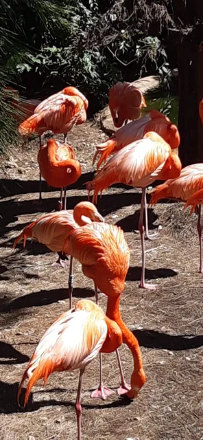 Jardin Zoologique Varois