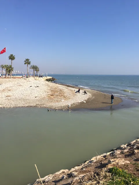photo-1