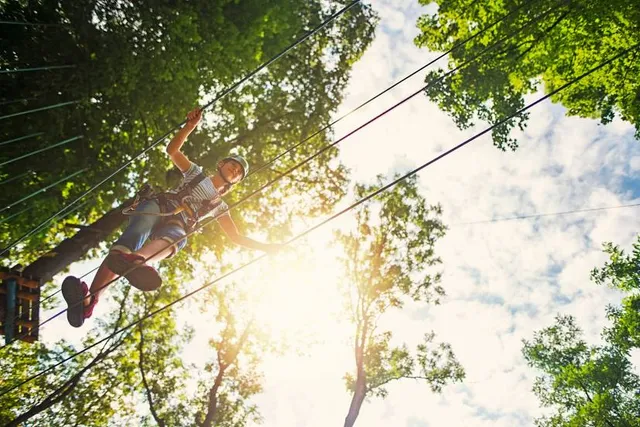 Northwoods Zip Line Adventure Tours