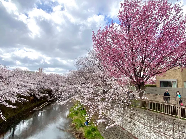 Naruse Bentenbashi Park
