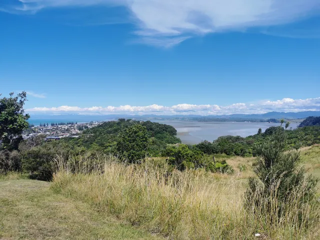 Tauwhare Pa Scenic Reserve