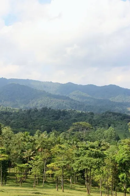 Wisata Agro Bukit Waruwangi