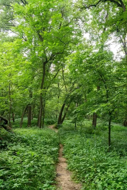 Kilen Woods State Park