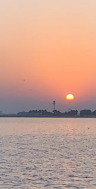 الجزيرة المائية