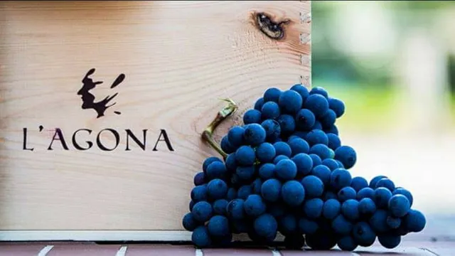 L'Agona Vini