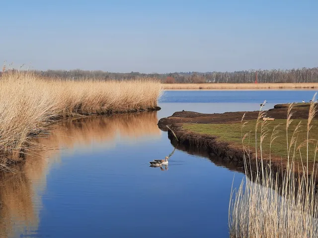 Schellbruch Nature Reserve