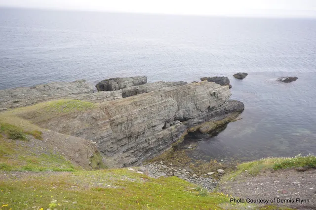 Fortune Head Geology Centre