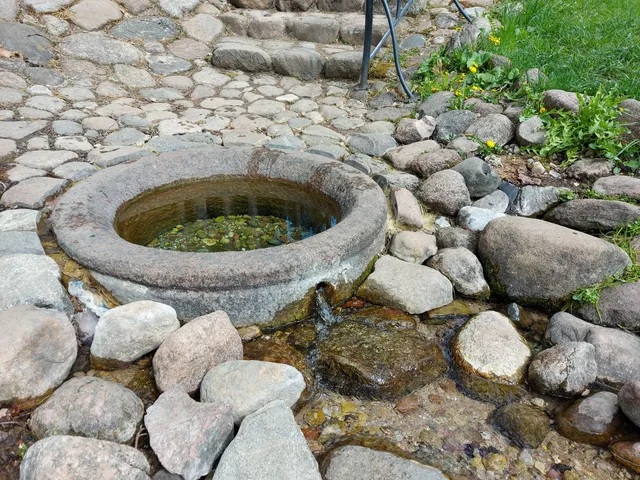 Krokulė Spring