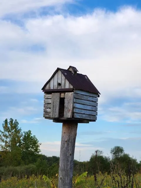 Funks Grove Nature Spaces