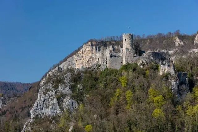 Ruine Schloss Neu-Falkenstein