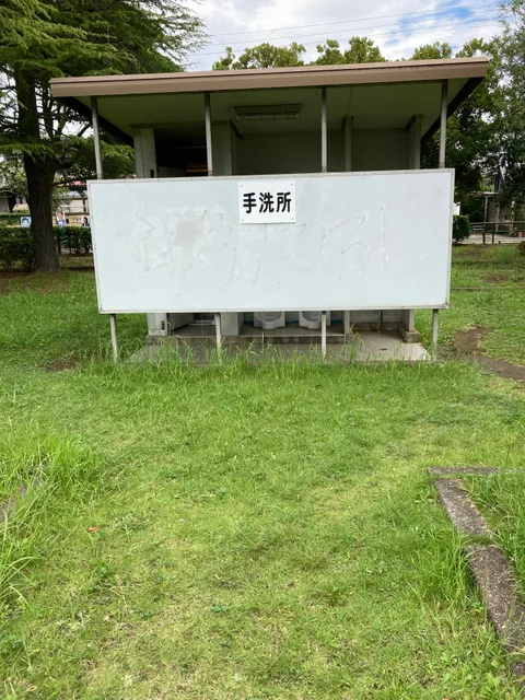photo-1