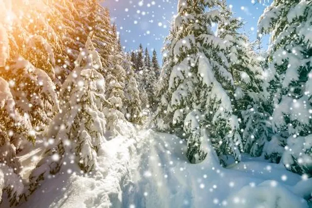 Miravalle Palace Casino