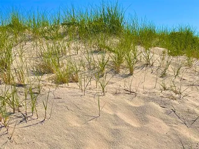 W. Scott Cameron Beach