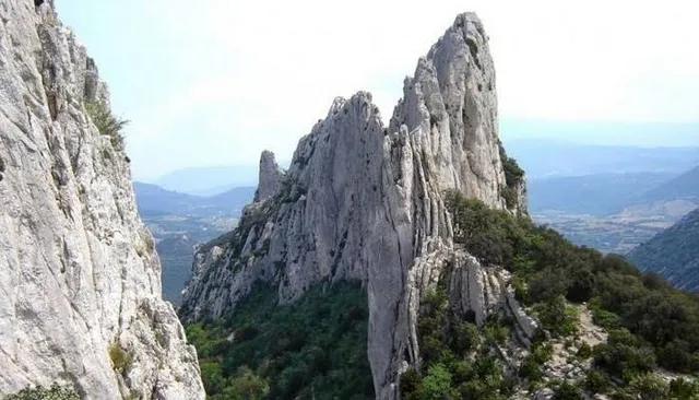 Dentelles Sarrasines