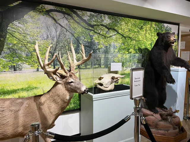 Georgia Museum Of Natural History