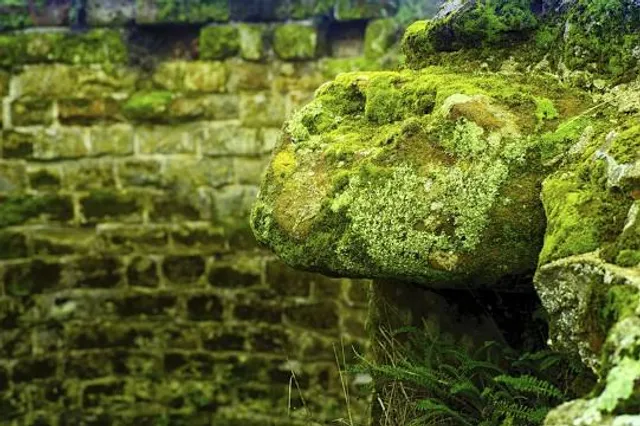 English Heritage - Bolingbroke Castle