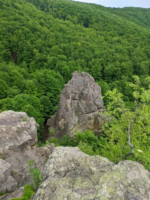 Irshava Urban Hromada