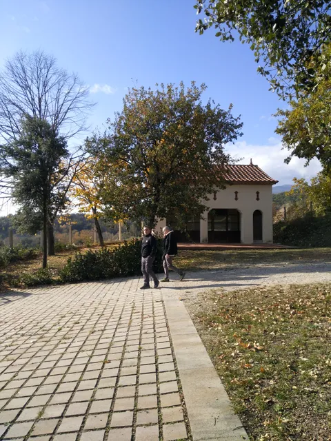 photo-1