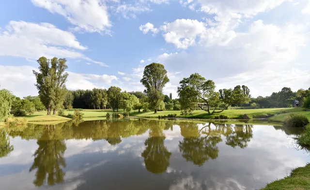 NIROX Sculpture Park