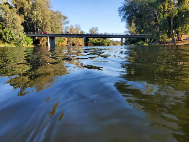 photo-1