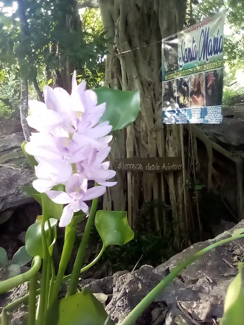 Tours Gruta y Cenote Santa María