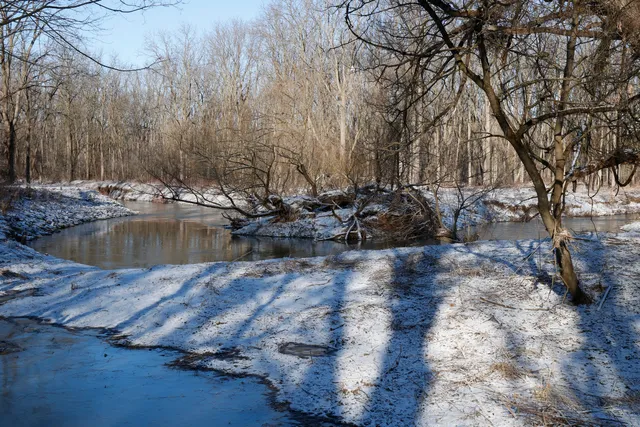 Archie Coulter Conservation Area