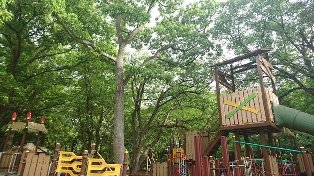 photo-1