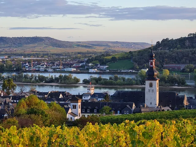 Weingut Adolf Störzel