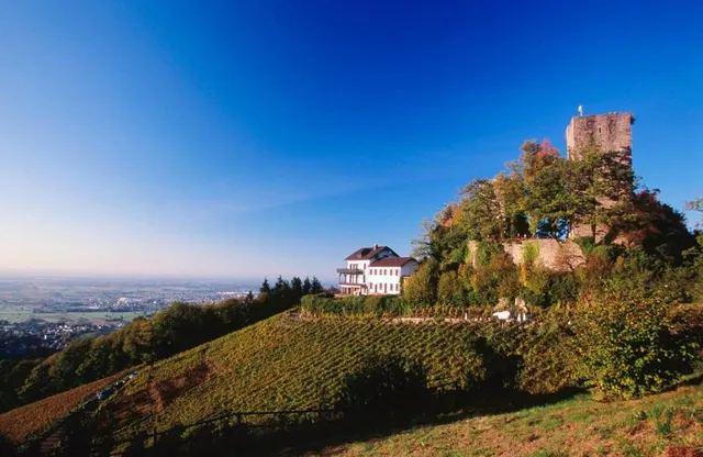 Vereinbarte Verwaltungsgemeinschaft Bühl