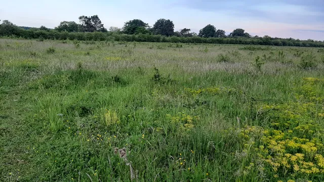 Ebenberg Nature Reserve