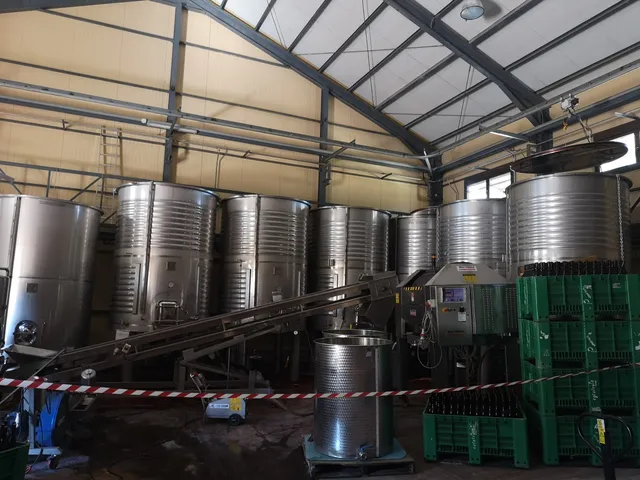 Bodega Monastrell