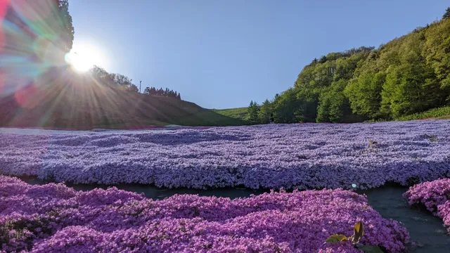 Oirase Onsen ski area