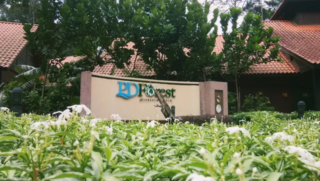 PD Forest Sg Menyala