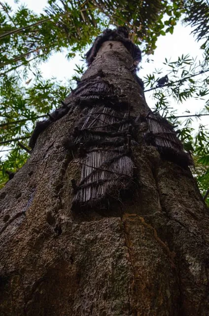 Graves Island Provincial Park