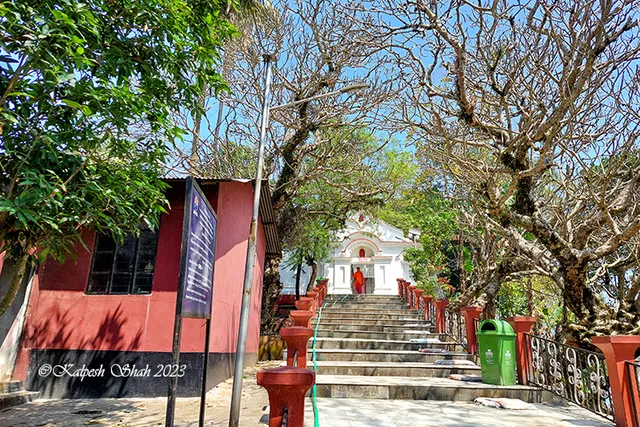 photo-3