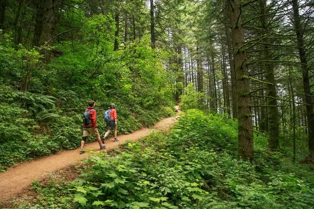 Friends Trail Loop Trailhead