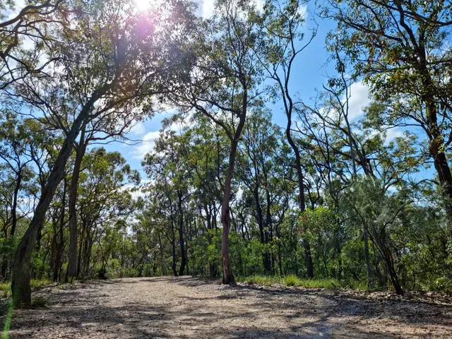 Seven Hills Bushland Reserve