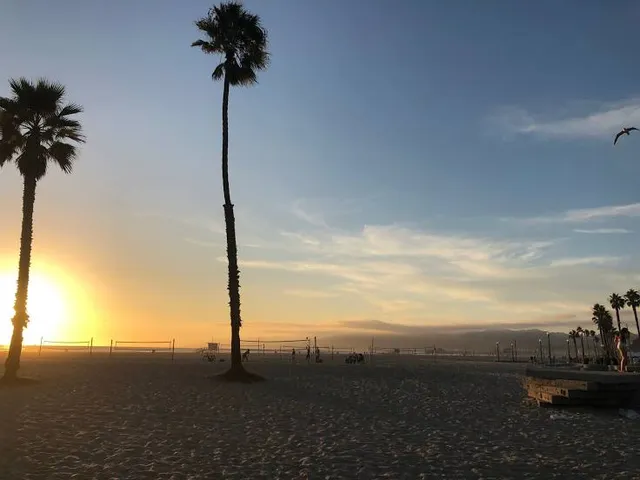 Venice beach