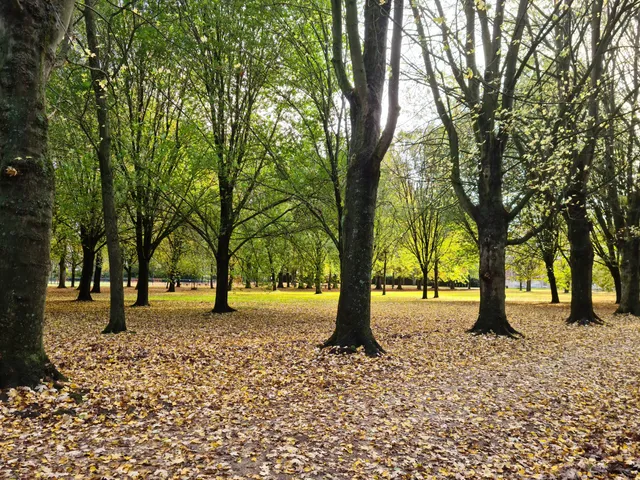 City Park ' Old Dike'