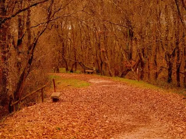 Gándaras de Budiño
