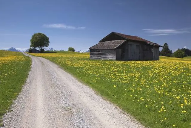 Pfaffenwinkler Milchweg