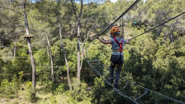 Le Royaume des Arbres - Le Castellet