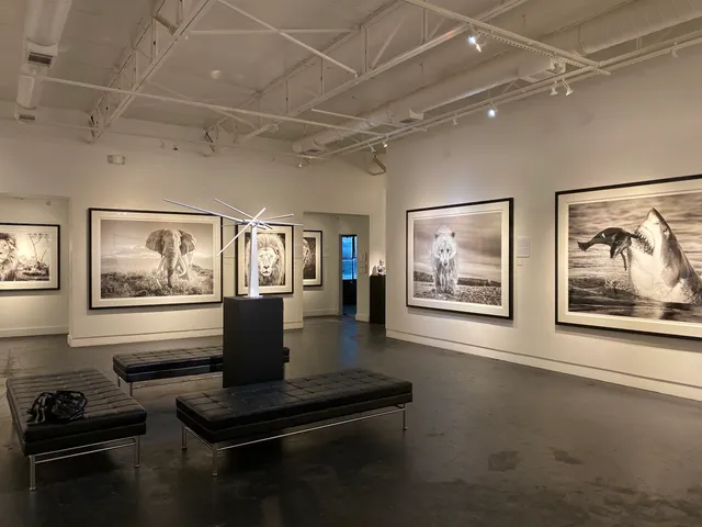 Samuel Lynne Galleries