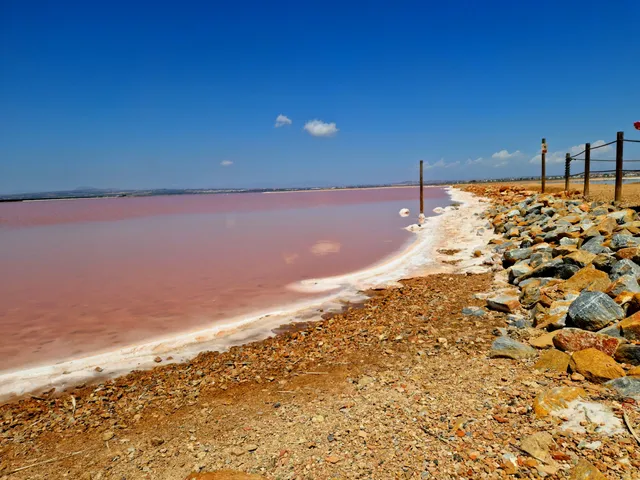 Tren Turístico de Torrevieja - Trainvision Spain S.L.