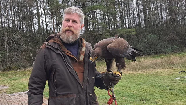 Strathblane Falconry