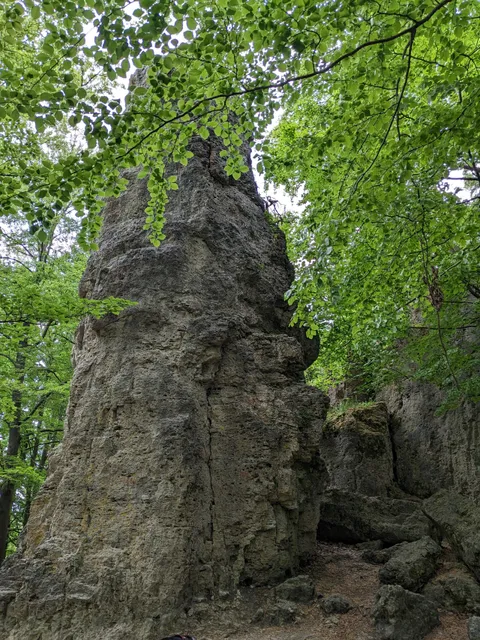 Zauberwald-Orchideen-Weg