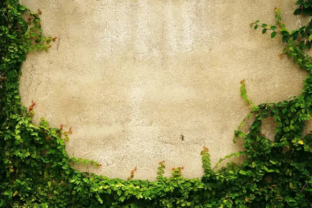 Coffee Cupper Museum